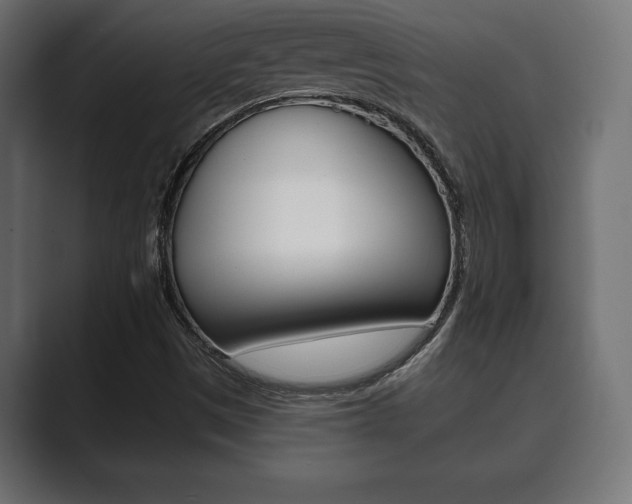 X0000089881497200706281039