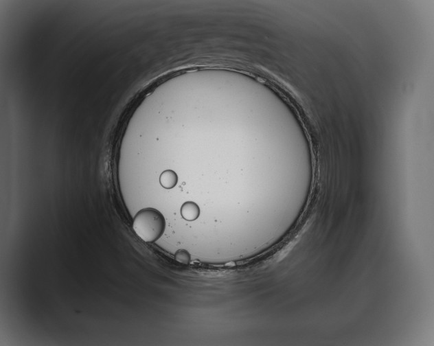 X0000089881498200706281039