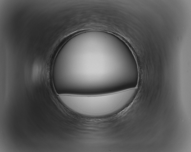 X0000089881499200706281039