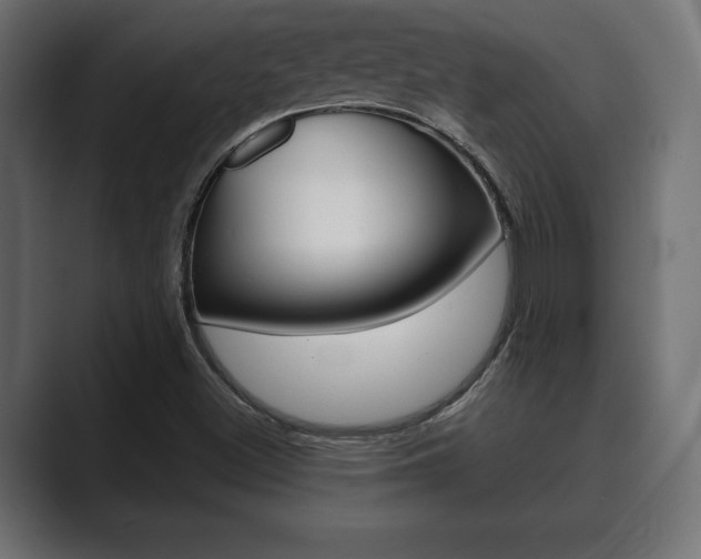 X0000089881500200706281039