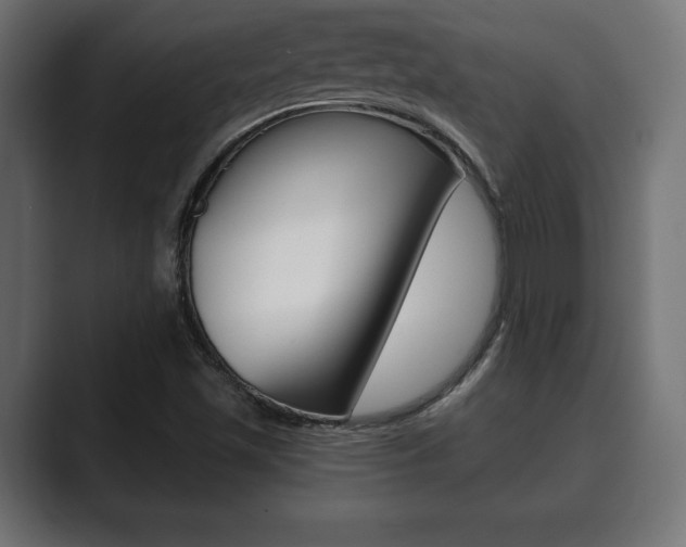 X0000089881501200706281039