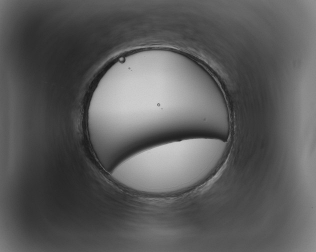 X0000089881502200706281039