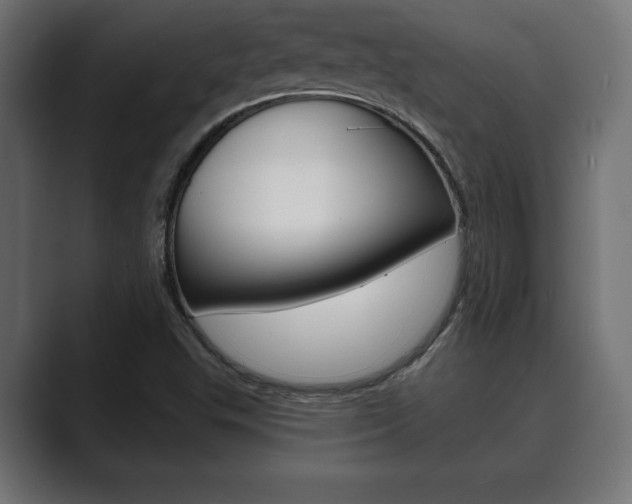 X0000089881503200706281039