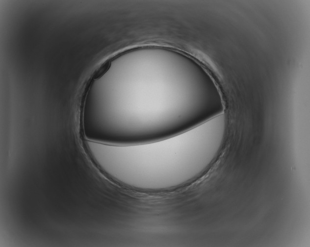 X0000089881504200706281039