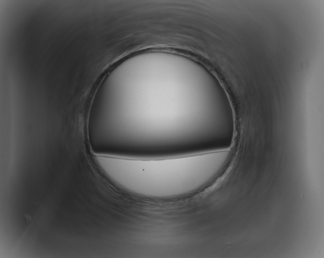 X0000089881505200706281039