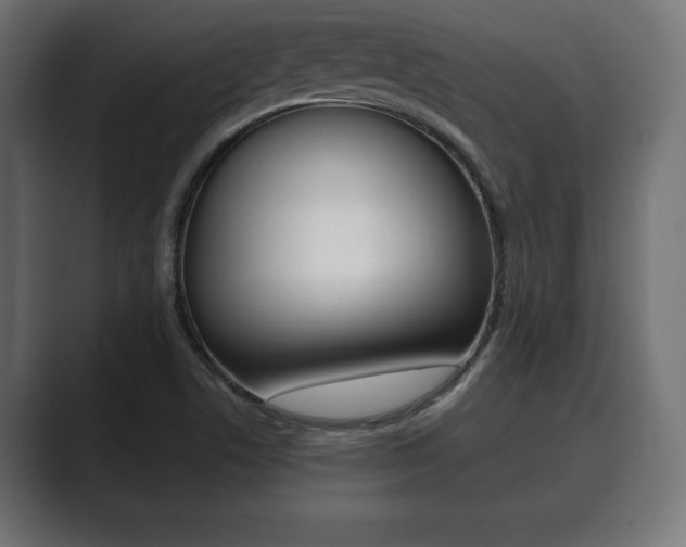 X0000089881506200706281039