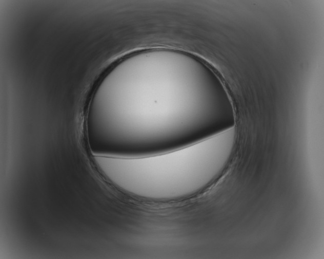 X0000089881507200706281039
