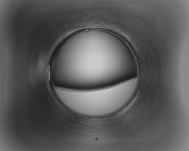 X0000089881509200706281039