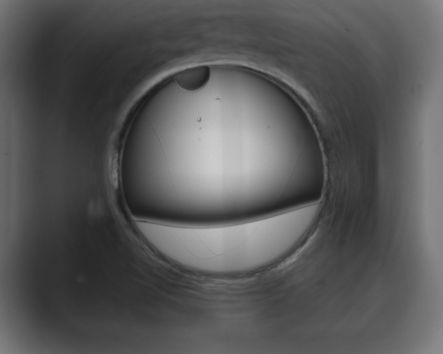 X0000089881510200706281040