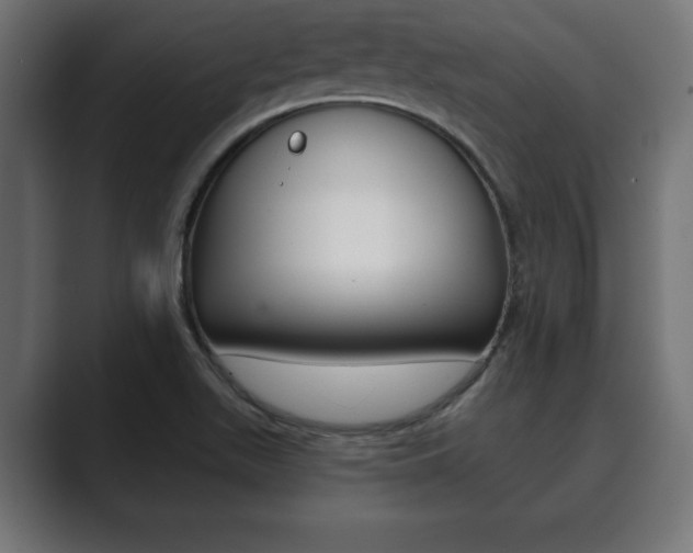 X0000089881511200706281040