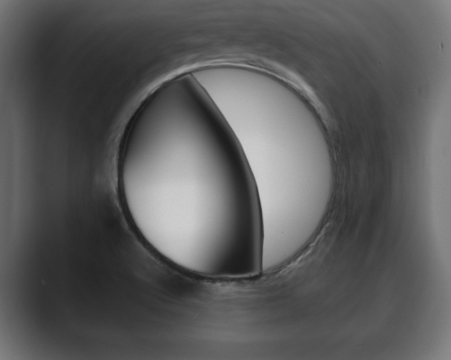 X0000089881512200706281040