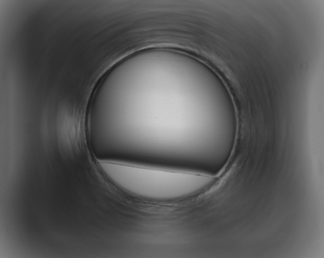 X0000089881513200706281040