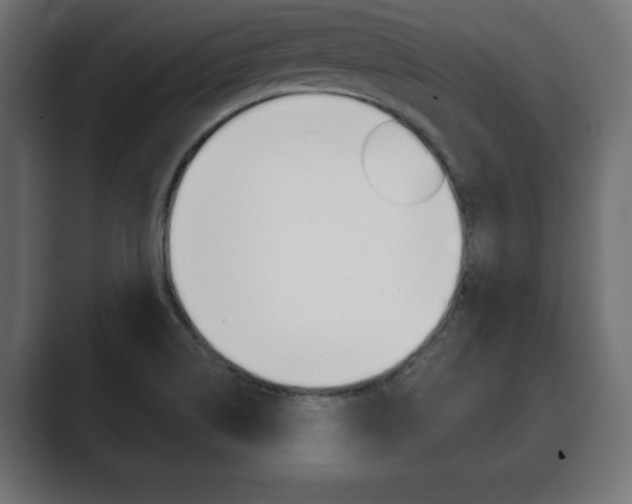 X0000089881514200706281040