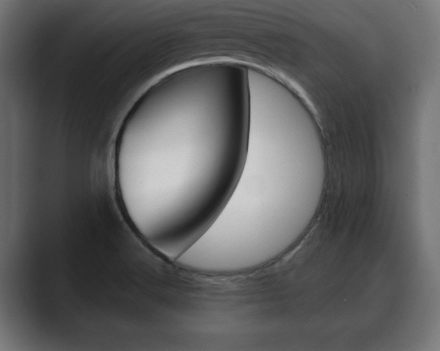 X0000089881516200706281040