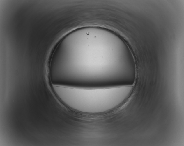 X0000089881517200706281040
