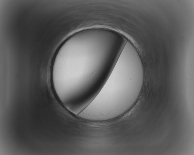 X0000089881518200706281040