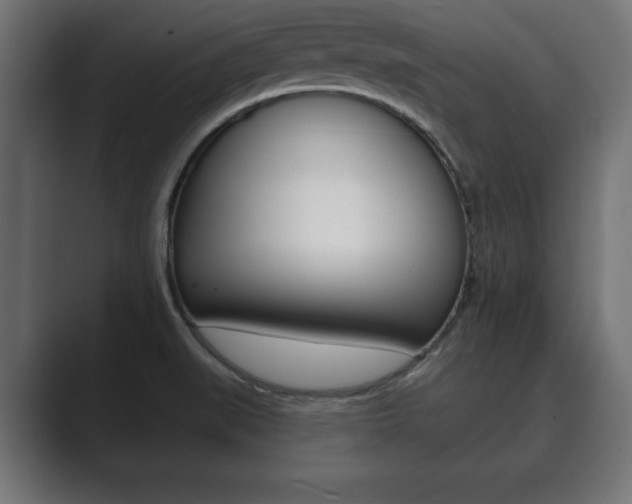 X0000089881519200706281040
