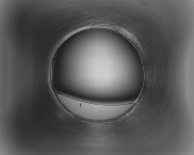X0000089881520200706281040