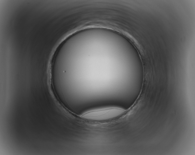 X0000089881522200706281040