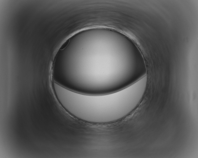 X0000089881524200706281040