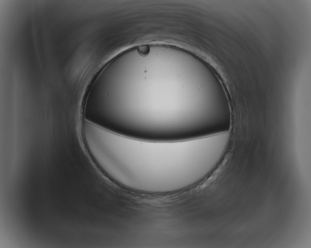 X0000089881525200706281040