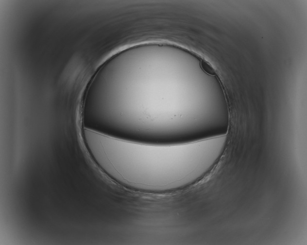 X0000089881526200706281040
