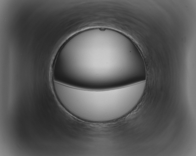X0000089881527200706281040