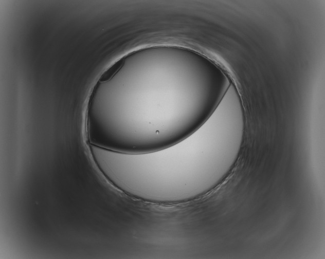 X0000089881528200706281040