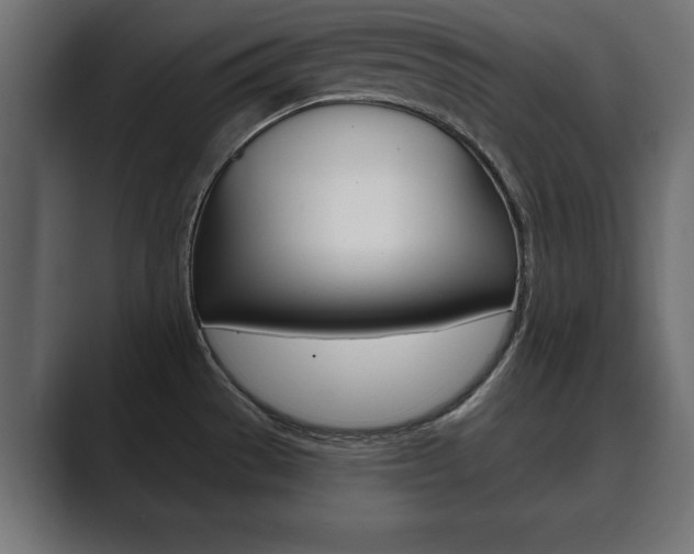 X0000089881529200706281040
