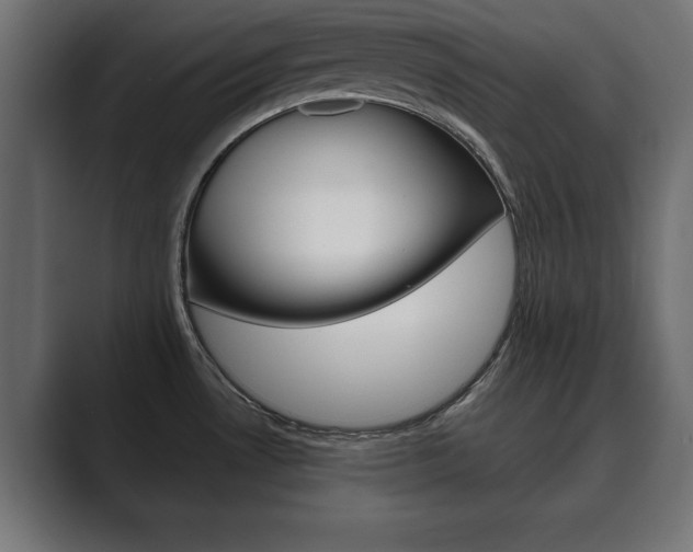 X0000089881530200706281040