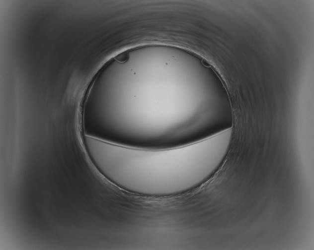 X0000089881531200706281040