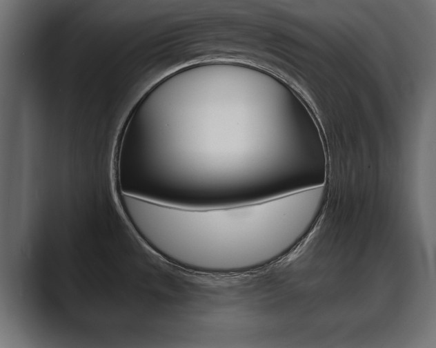 X0000089881533200706281040