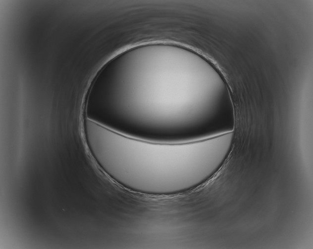 X0000089881534200706281040