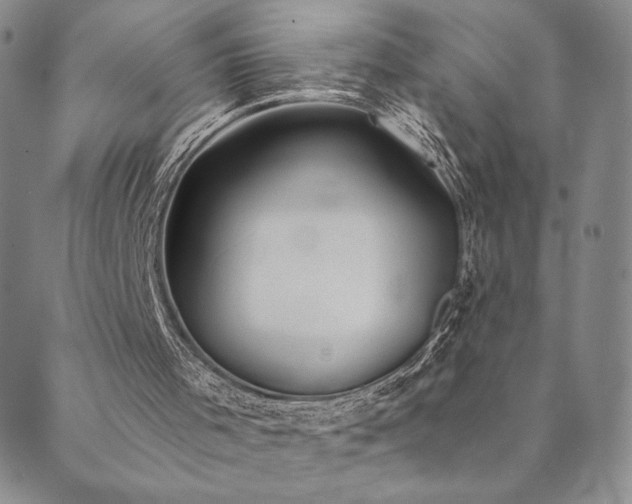 X0000089880001200706281401