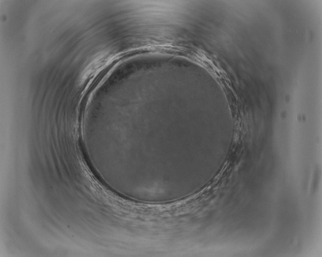 X0000089880002200706281401