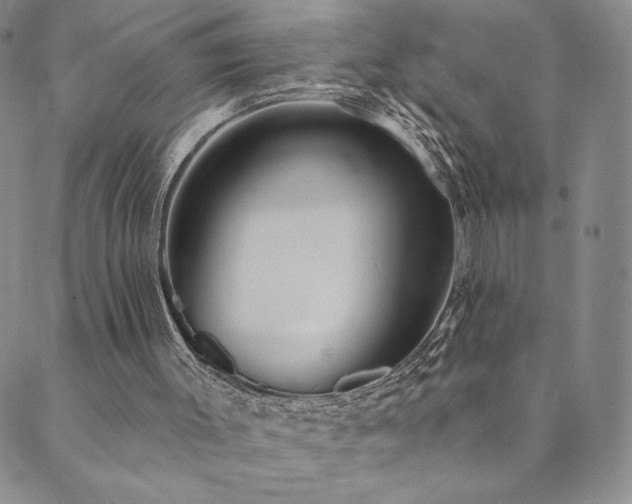 X0000089880003200706281401