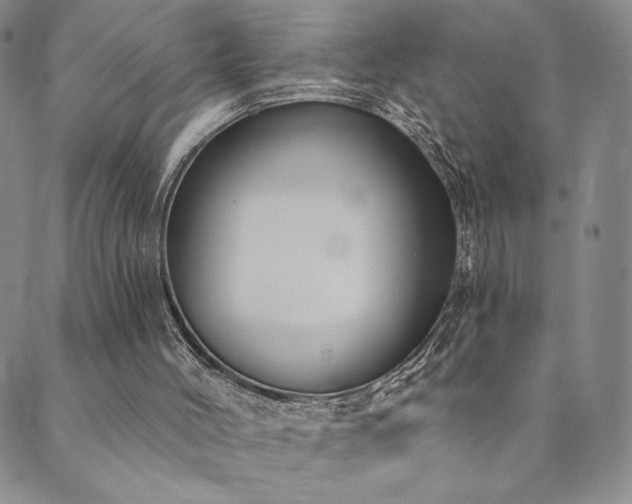 X0000089880004200706281401