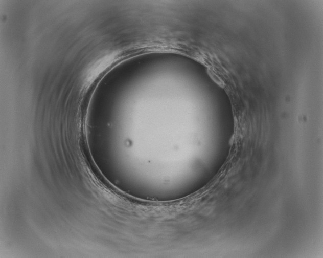 X0000089880005200706281401