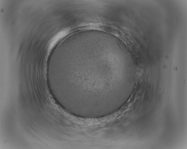 X0000089880006200706281401