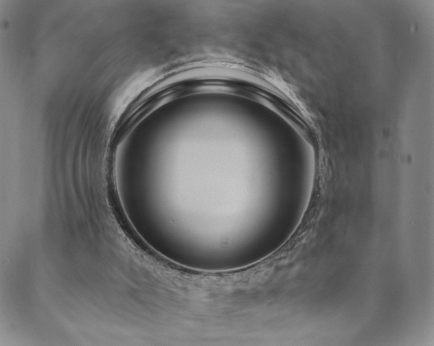 X0000089880007200706281401