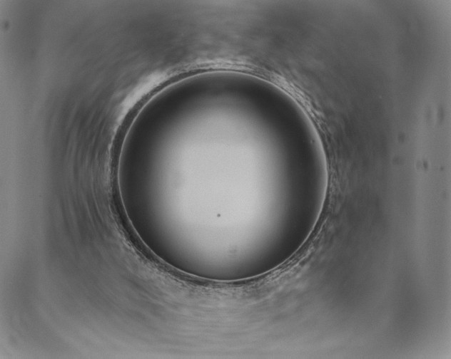 X0000089880008200706281401