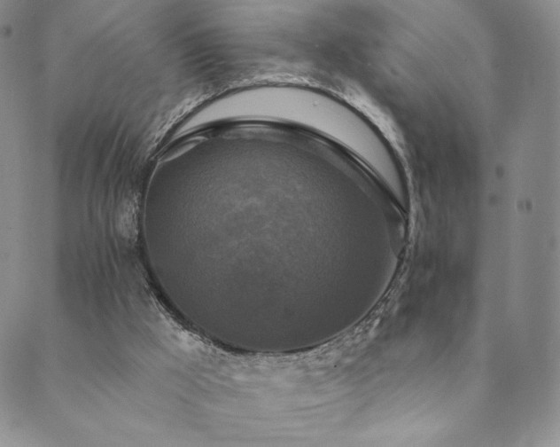 X0000089880009200706281401