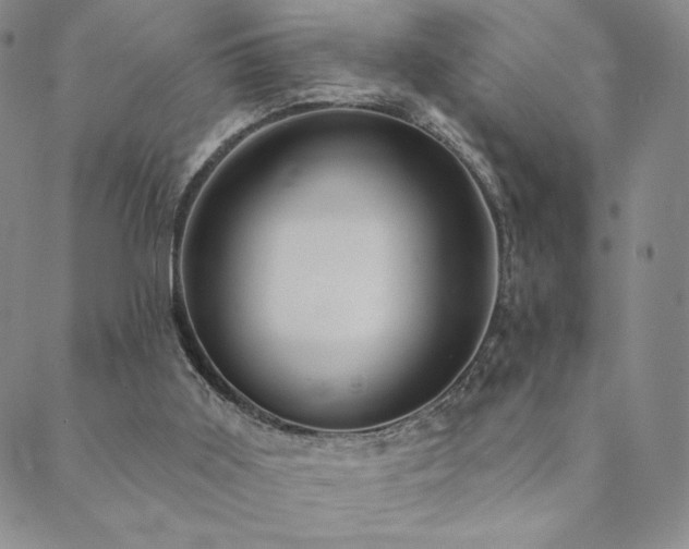 X0000089880011200706281401