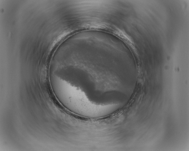 X0000089880012200706281401