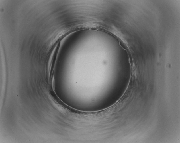 X0000089880013200706281401