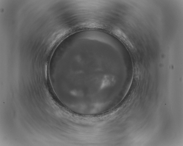 X0000089880014200706281401