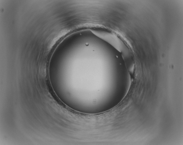 X0000089880015200706281401