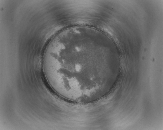 X0000089880016200706281401