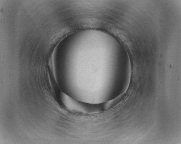 X0000089880017200706281401