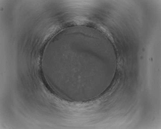 X0000089880018200706281401